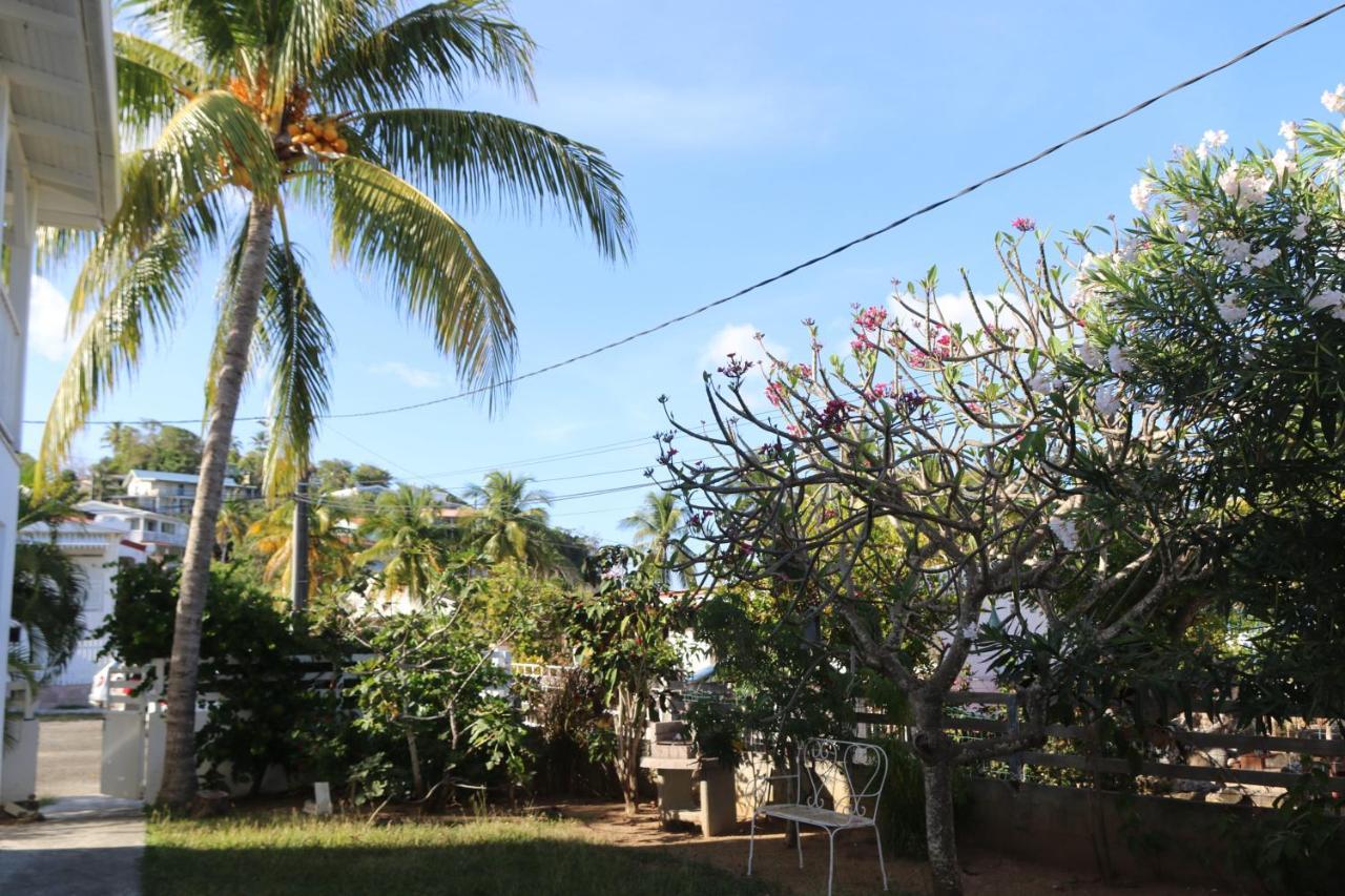 Le Colibri Et Le Frangipanier Apartment ลา ทรินิเต ภายนอก รูปภาพ