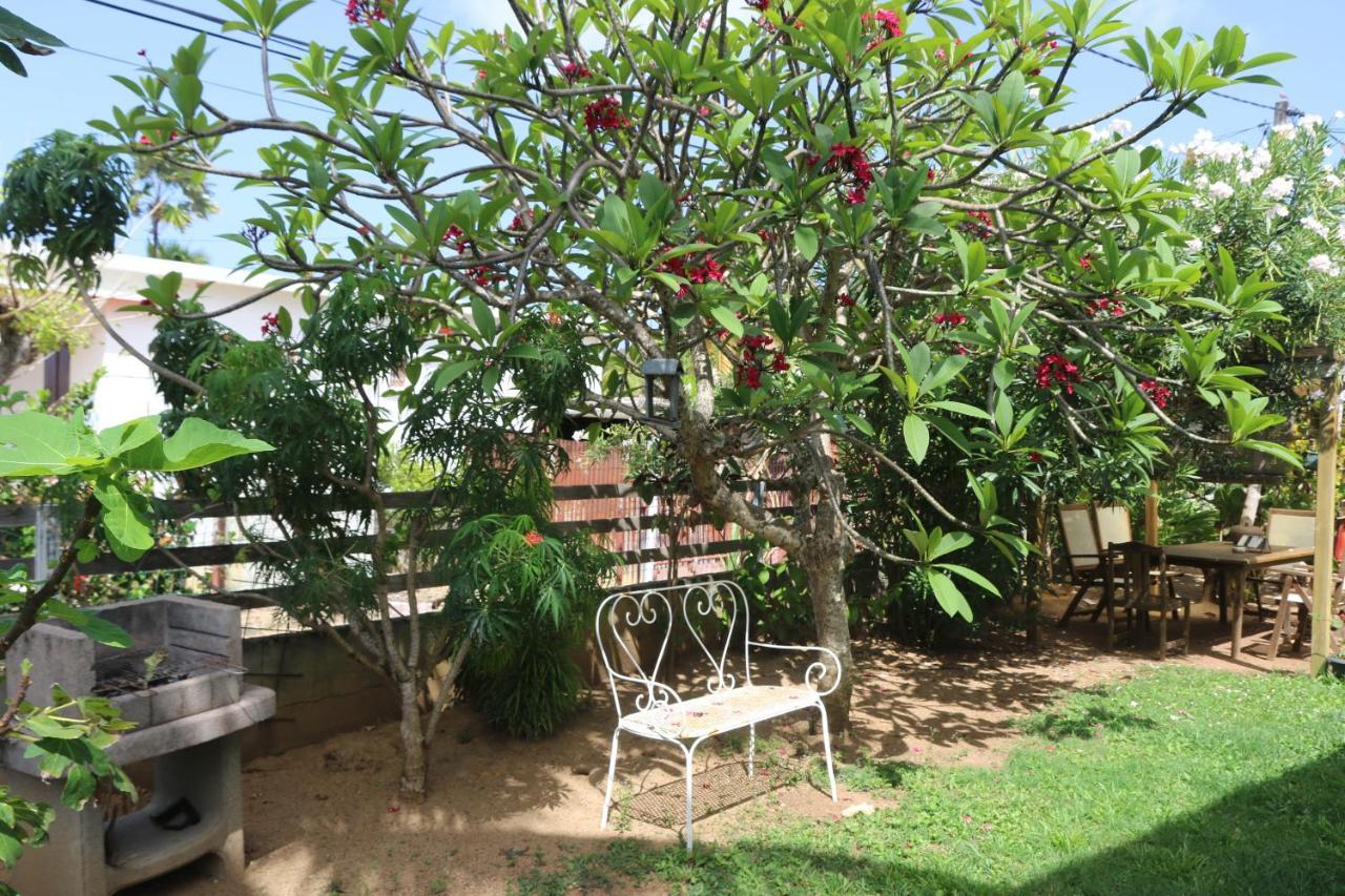 Le Colibri Et Le Frangipanier Apartment ลา ทรินิเต ภายนอก รูปภาพ