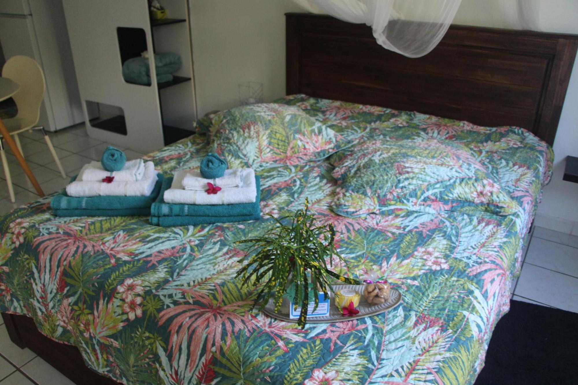 Le Colibri Et Le Frangipanier Apartment ลา ทรินิเต ภายนอก รูปภาพ